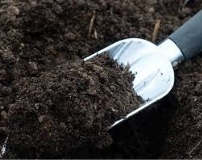 C:\Users\Администратор\Desktop\кросенс биология\Без названия (20).jpg